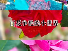 -上海山野camping·户外天幕烧烤·团建拓展营地