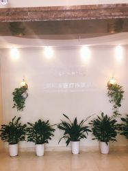 -碧莲盛·不剃发植发