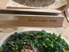 -油梨树AVOCADO TREE(嘉里中心店)