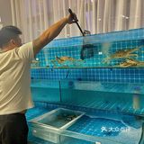 威海 | 振海贝烤贝，这家店真的板蟹吃到爽！
