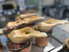 潮州炭烧大响螺-七寸飝大饭店(马场店)