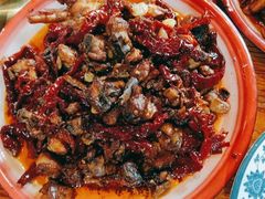 -柴窝堡22号辣子鸡·传承新疆菜