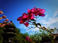-杭州上天竺法喜讲寺