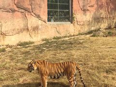 -无锡动物园·太湖欢乐园