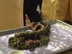 -荔城生鲜盛宴(番禺旗舰店)