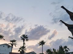 -江西矿疗温泉