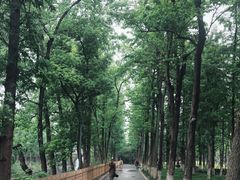 -洋湖国家湿地公园