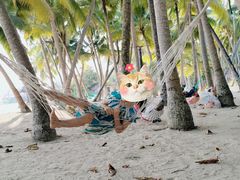 -东郊椰林