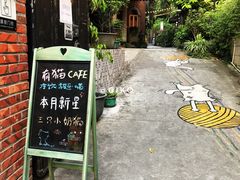 门面-有猫主题·治愈系猫咖(曾厝垵店)