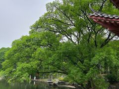 -柳侯公园