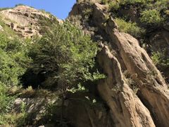 -延庆地质公园博物馆