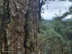 -四明山国家森林公园