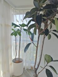 -HEYAN荷妍专业脱毛连锁机构