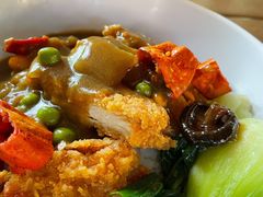 咖喱鸡排饭套餐-Tangled Tree Tavern 老藤树食栈