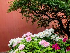 -北京市劳动人民文化宫(太庙)
