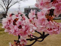 -张钰强中医正骨推拿连锁(唐家人才公寓店)