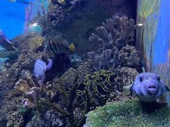 -常州海昌海洋探索馆