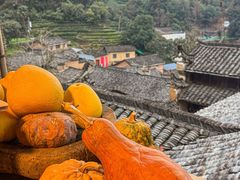 -杨家堂村