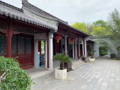 -徐州龟山景区
