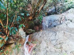 -阳台山森林公园