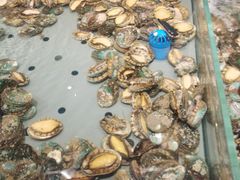 鲍鱼-一方渔歌蒸汽海鲜自助(文化路万达广场店)