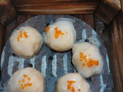 五星虾饺皇-宝园酒家(美林M·LIVE天地东座店)