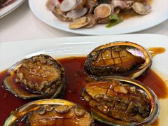 浇汁大鲍鱼-来之顺海鲜菜馆·青岛菜·始于1993(栈桥店)