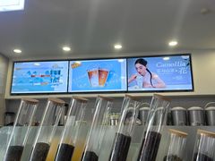 -雾与山茶(大禹城店)