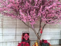 iphone_upload_pic-金轩中餐厅 Jin Xuan(浦东丽思卡尔顿酒店)