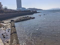 -青岛第一海水浴场