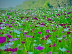 -北沙滩(地铁站)