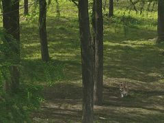 -东钱湖旅游度假区