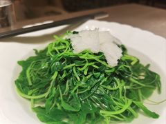 -九里云松·天香餐厅
