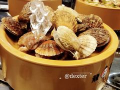 -龍歌自助小火锅(李沧丽达店)