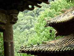 -报恩寺(平武县)