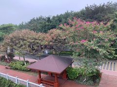-狐尾山公园
