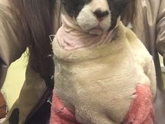 -猫色咖啡·猫咖