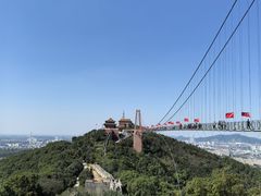 -华西村