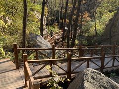 -大岭沟猕猴桃谷风景区