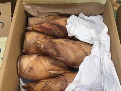 -台场海滨公园船码头