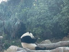 -宁波野生动物园
