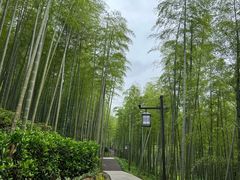 -东明山森林公园