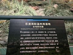 -温州博物馆