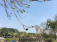 -映月湖公园