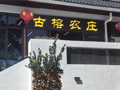-古榕农庄·桑拿簸箕菜·招牌泥焗鸡(清远长隆店)
