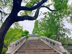 -练塘古镇