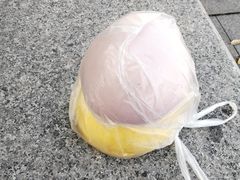 -白玉兰食品(甜云店)