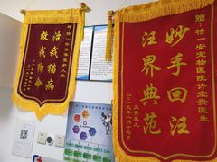 -特一安24小时宠物医院·骨科·中兽医