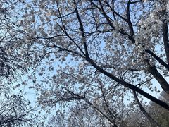 -东湖听涛景区