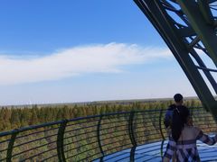 -黄海国家森林公园